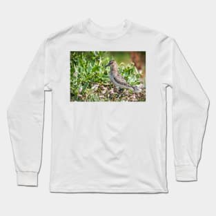 Dunlin wading bird on the shore Long Sleeve T-Shirt